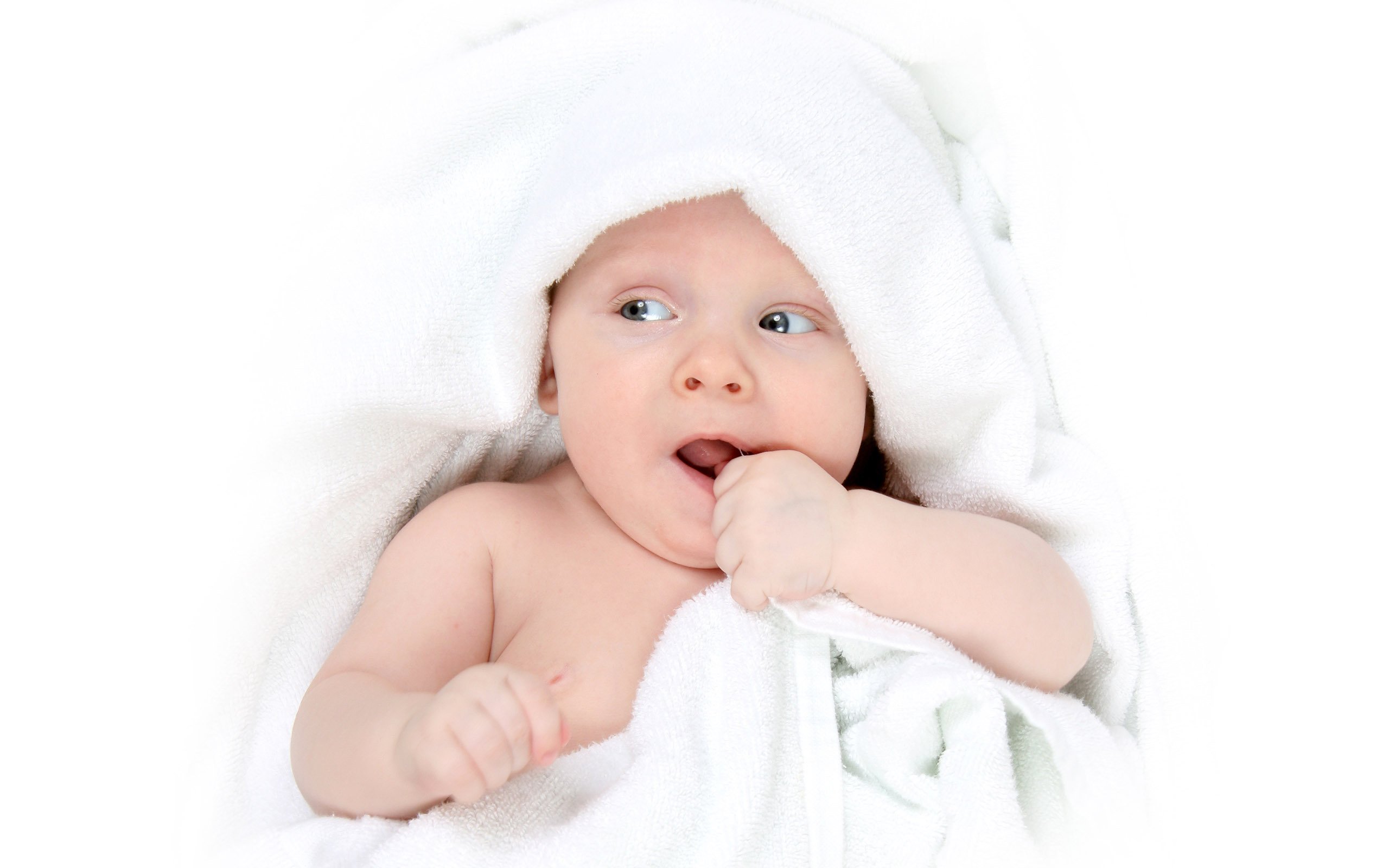 昆明捐卵代怀试管婴儿和人工受精成功率